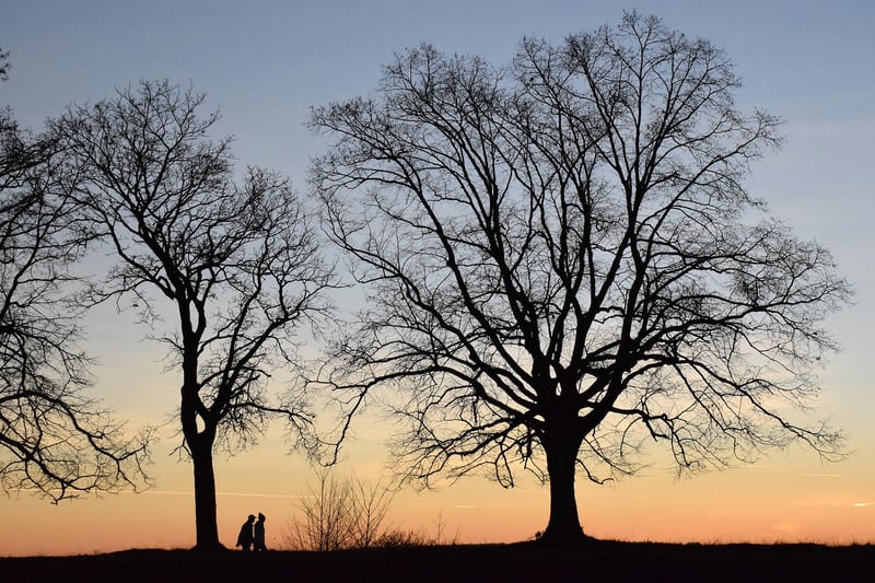 Silhouette in the shadows